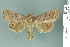  ( - RMNH.INS.14915)  @11 [ ] Unspecified (default): All Rights Reserved  Unspecified Unspecified