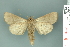  ( - RMNH.INS.14915)  @11 [ ] Unspecified (default): All Rights Reserved  Unspecified Unspecified