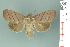  ( - RMNH.INS.14916)  @14 [ ] Unspecified (default): All Rights Reserved  Unspecified Unspecified