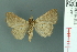  ( - RMNH.INS.14918)  @13 [ ] Unspecified (default): All Rights Reserved  Unspecified Unspecified