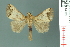  ( - RMNH.INS.14919)  @14 [ ] Unspecified (default): All Rights Reserved  Unspecified Unspecified