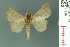  ( - RMNH.INS.14919)  @13 [ ] Unspecified (default): All Rights Reserved  Unspecified Unspecified