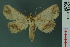  ( - RMNH.INS.14971)  @14 [ ] Unspecified (default): All Rights Reserved  Unspecified Unspecified