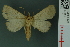  ( - RMNH.INS.14971)  @13 [ ] Unspecified (default): All Rights Reserved  Unspecified Unspecified