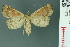  ( - RMNH.INS.14976)  @13 [ ] Unspecified (default): All Rights Reserved  Unspecified Unspecified