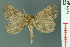  ( - RMNH.INS.14978)  @14 [ ] Unspecified (default): All Rights Reserved  Unspecified Unspecified