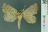  ( - RMNH.INS.14978)  @13 [ ] Unspecified (default): All Rights Reserved  Unspecified Unspecified