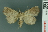  ( - RMNH.INS.14979)  @13 [ ] Unspecified (default): All Rights Reserved  Unspecified Unspecified