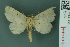  ( - RMNH.INS.14980)  @13 [ ] Unspecified (default): All Rights Reserved  Unspecified Unspecified