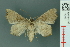  ( - RMNH.INS.19006)  @11 [ ] Unspecified (default): All Rights Reserved  Unspecified Unspecified