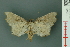  ( - RMNH.INS.19007)  @13 [ ] Unspecified (default): All Rights Reserved  Unspecified Unspecified
