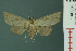  ( - RMNH.INS.19008)  @13 [ ] Unspecified (default): All Rights Reserved  Unspecified Unspecified