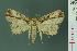  ( - RMNH.INS.19012)  @14 [ ] Unspecified (default): All Rights Reserved  Unspecified Unspecified