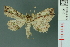  ( - RMNH.INS.19013)  @13 [ ] Unspecified (default): All Rights Reserved  Unspecified Unspecified