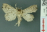  ( - RMNH.INS.19013)  @13 [ ] Unspecified (default): All Rights Reserved  Unspecified Unspecified