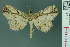  (Tamba mnionomera - RMNH.INS.19014)  @14 [ ] Unspecified (default): All Rights Reserved  Unspecified Unspecified