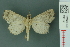  ( - RMNH.INS.19014)  @13 [ ] Unspecified (default): All Rights Reserved  Unspecified Unspecified