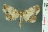  (Tamba ionomera - RMNH.INS.19019)  @14 [ ] Unspecified (default): All Rights Reserved  Unspecified Unspecified