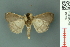  ( - RMNH.INS.19028)  @13 [ ] Unspecified (default): All Rights Reserved  Unspecified Unspecified