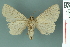  ( - RMNH.INS.19029)  @13 [ ] Unspecified (default): All Rights Reserved  Unspecified Unspecified