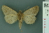  ( - RMNH.INS.19040)  @13 [ ] Unspecified (default): All Rights Reserved  Unspecified Unspecified