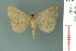  ( - RMNH.INS.19052)  @13 [ ] Unspecified (default): All Rights Reserved  Unspecified Unspecified