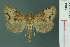  ( - RMNH.INS.19053)  @13 [ ] Unspecified (default): All Rights Reserved  Unspecified Unspecified