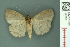  ( - RMNH.INS.19057)  @13 [ ] Unspecified (default): All Rights Reserved  Unspecified Unspecified