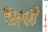  ( - RMNH.INS.19058)  @13 [ ] Unspecified (default): All Rights Reserved  Unspecified Unspecified
