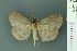  ( - RMNH.INS.19058)  @13 [ ] Unspecified (default): All Rights Reserved  Unspecified Unspecified