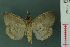  ( - RMNH.INS.19059)  @13 [ ] Unspecified (default): All Rights Reserved  Unspecified Unspecified