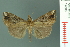  ( - RMNH.INS.19060)  @14 [ ] Unspecified (default): All Rights Reserved  Unspecified Unspecified