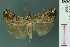  ( - RMNH.INS.19061)  @14 [ ] Unspecified (default): All Rights Reserved  Unspecified Unspecified