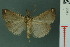  ( - RMNH.INS.19061)  @13 [ ] Unspecified (default): All Rights Reserved  Unspecified Unspecified