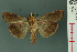  ( - RMNH.INS.19091)  @13 [ ] Unspecified (default): All Rights Reserved  Unspecified Unspecified