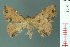  ( - RMNH.INS.19128)  @14 [ ] Unspecified (default): All Rights Reserved  Unspecified Unspecified