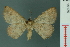  ( - RMNH.INS.19129)  @11 [ ] Unspecified (default): All Rights Reserved  Unspecified Unspecified