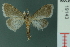  ( - RMNH.INS.19143)  @13 [ ] Unspecified (default): All Rights Reserved  Unspecified Unspecified