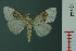  ( - RMNH.INS.19144)  @13 [ ] Unspecified (default): All Rights Reserved  Unspecified Unspecified