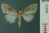  ( - RMNH.INS.19144)  @13 [ ] Unspecified (default): All Rights Reserved  Unspecified Unspecified