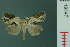  ( - RMNH.INS.19147)  @13 [ ] Unspecified (default): All Rights Reserved  Unspecified Unspecified