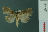  ( - RMNH.INS.19147)  @13 [ ] Unspecified (default): All Rights Reserved  Unspecified Unspecified