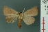  ( - RMNH.INS.19162)  @13 [ ] Unspecified (default): All Rights Reserved  Unspecified Unspecified