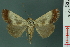  ( - RMNH.INS.19170)  @13 [ ] Unspecified (default): All Rights Reserved  Unspecified Unspecified