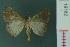 ( - RMNH.INS.19182)  @13 [ ] Unspecified (default): All Rights Reserved  Unspecified Unspecified