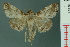  (Poeta - RMNH.INS.19191)  @14 [ ] Unspecified (default): All Rights Reserved  Unspecified Unspecified