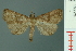  ( - RMNH.INS.19225)  @14 [ ] Unspecified (default): All Rights Reserved  Unspecified Unspecified