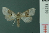  ( - RMNH.INS.19230)  @13 [ ] Unspecified (default): All Rights Reserved  Unspecified Unspecified