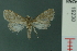  ( - RMNH.INS.19230)  @12 [ ] Unspecified (default): All Rights Reserved  Unspecified Unspecified