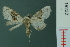  ( - RMNH.INS.19232)  @13 [ ] Unspecified (default): All Rights Reserved  Unspecified Unspecified
